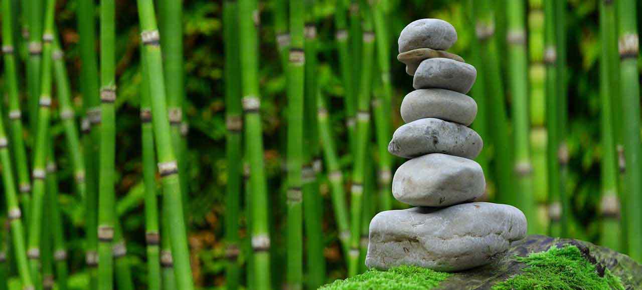 NovoBam green and eco friendly products online store