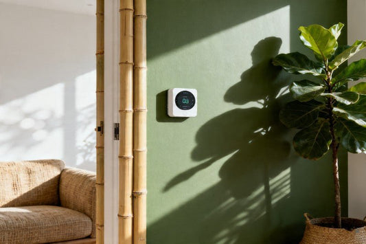 How to Remodel Your Home into a Smarter, Eco-Friendly Sanctuary - NovoBam