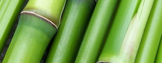 The Eco-Friendly Revolution: Bamboo Products and Sustainability - NovoBam